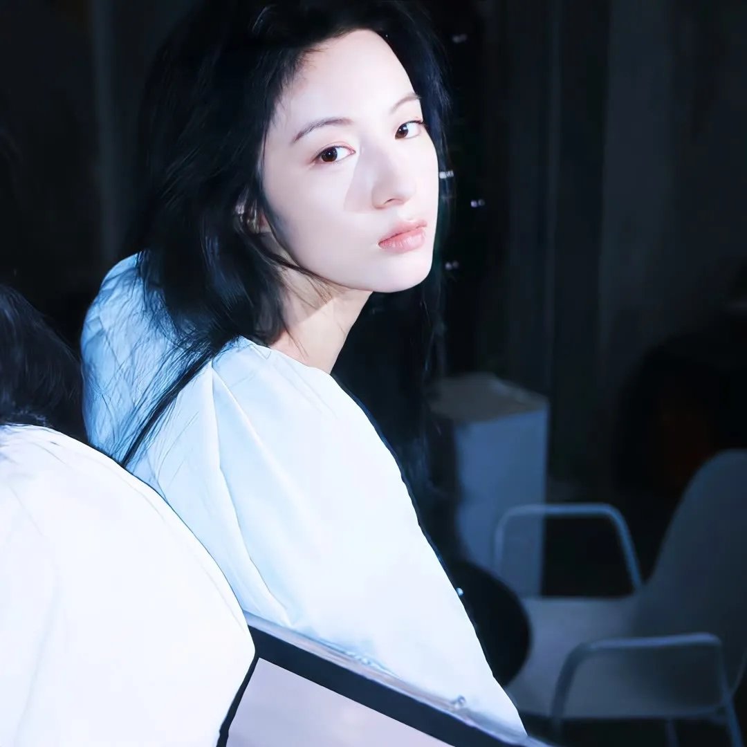 木材宝藏狗